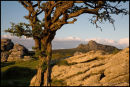 Hay Tor Sunset