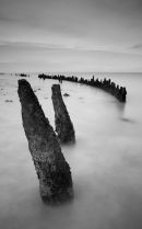 Groynes in Black & white