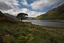 Upper Loch Hourn, Knoydart Peninsular