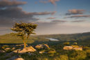 Sunrise over Burrator
