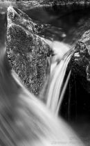 River Detail