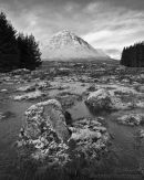 The Buachaille