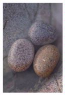Granite pebbles