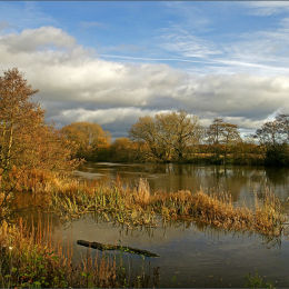 Autumn Light