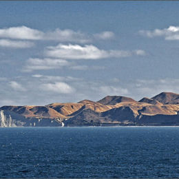 Cape Kidnappers New Zealand