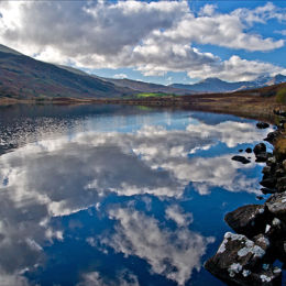 Reflections