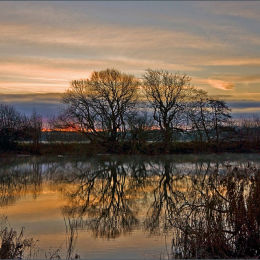 December Dawn
