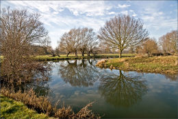 Reflections. River Stour. Suffolk.