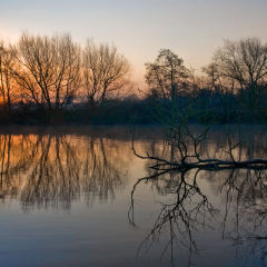 Cold Start