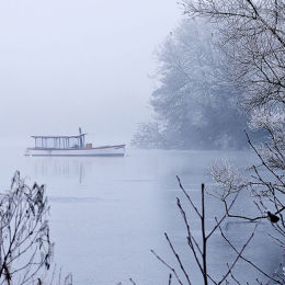 Out Of The Mist