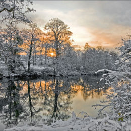 Sun and Snow. Winter 2010.