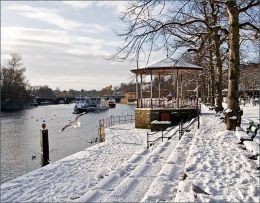 The Groves In Winter