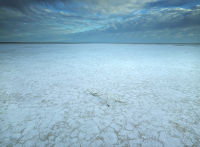 Salt, Lake Eyre NP, S. Australia