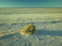Isolation, Lake Eyre NP, South Australia