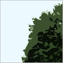 Five Trees