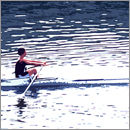 Rowing in Barnes