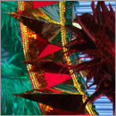 Multicolour Feathers