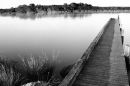 boardwalk, Strahan - Tas
© Tom Benneyworth LRPS, LBPPA
