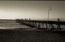 Glenelg - SA
© Tom Benneyworth LRPS, LBPPA