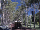 Kings Park, Perth
© Tom Benneyworth LRPS, LBPPA