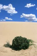 Mungo National Park NSW
© Tom Benneyworth LRPS, LBPPA