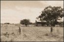Old Homestead - NSW
© Tom Benneyworth LRPS, LBPPA