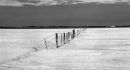 Salt Lake - Vic
© Tom Benneyworth LRPS, LBPPA