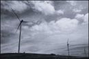 Wind Farm - Vic
© Tom Benneyworth LRPS, LBPPA