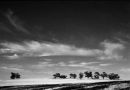 Clare
© Tom Benneyworth LRPS, LBPPA
