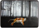 In the forest of the night

