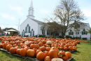 Pumpkin Season