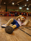 'Solly' - posing!