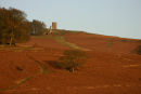 Bradgate Park 2