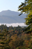 Mountain View (2)
