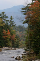 Mountain View (1)