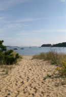 Sandy Stroll