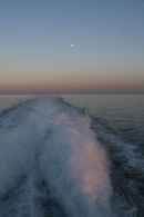 The Moon In It's Wake