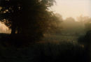 Bradgate Park 7