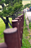 The_Line