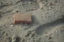 brick in the beach