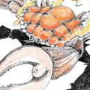 The Fire Crab