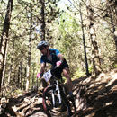 Racing in Swinley Forest