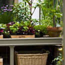 Grow your own