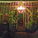 Cowdray walled garden at night