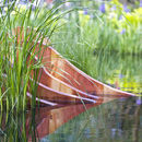 chelsea flower show 2009