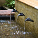The QVC Garden