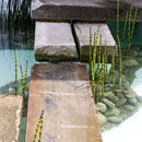 Credit Crunch The Offshore Garden