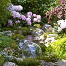 Chelsea Flower show 2009