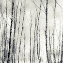 Silent echoes of time