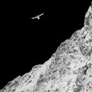 Imagining gravity